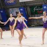 Božičnica gimnastike Bor