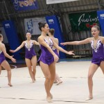 Božičnica gimnastike Bor