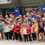 Božičnica gimnastike Bor