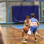 Božičnica KKBOR : Koši pod jelko