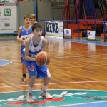 Božičnica KKBOR : Koši pod jelko