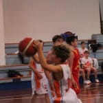 Košarka U12 : Polet Kontovel - Servolana