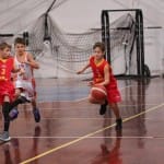 Košarka U12 : Polet Kontovel - Servolana
