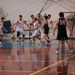 Košarka D liga : Kontovel - Don Bosco