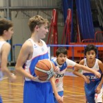 Božičnica KKBOR : Koši pod jelko