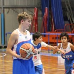 Božičnica KKBOR : Koši pod jelko