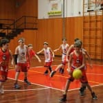 Domovi Novoletni akademiji