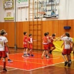 Domovi Novoletni akademiji