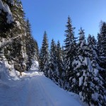 SK Devin: snežna tura na Krnsko jezero