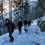 SK Devin: snežna tura na Krnsko jezero
