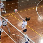 Sport - ODBOJKA - ZENSKA C LIGA – Volley Club – Zalet ZKB