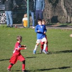Nogomet U 11 v Bazovici