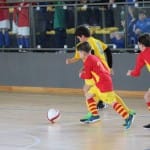 Under 11: danes v Nabrežini nogomtni pokal ZSŠDI
