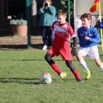 Nogomet U 11 v Bazovici