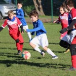 Nogomet U 11 v Bazovici