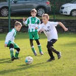 Nogomet U 11 v Bazovici