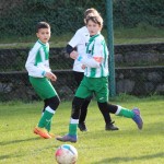 Nogomet U 11 v Bazovici