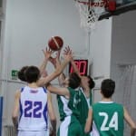 Košarka U 17 :Jadran - Barcolana