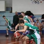 Košarka U 17 :Jadran - Barcolana