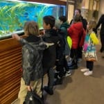 AŠD Mladina pristopilo k projektu Šport-šola