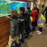 AŠD Mladina pristopilo k projektu Šport-šola