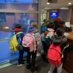 AŠD Mladina pristopilo k projektu Šport-šola