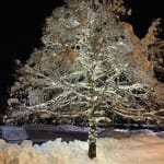 AŠD Mladina pristopilo k projektu Šport-šola