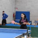 Terni, državni turnir Krasovi predstavniki