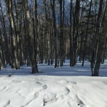 Planinski odsek SK Devin na Dobrči