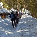 Planinski odsek SK Devin na Dobrči