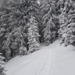 Planinski odsek SK Devin