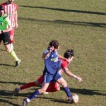 Nogomet elitna liga : Kras - Juventina