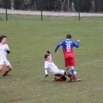Nogomet U 17 : Zarja - Tolmezzo