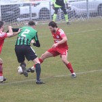 Nogomet Elitna liga : Kras Repen - Fiume Bannia