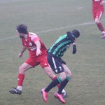 Nogomet Elitna liga : Kras Repen - Fiume Bannia