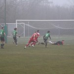 Nogomet Elitna liga : Kras Repen - Fiume Bannia