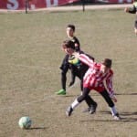Nogomet U 14 : Zarja -Fiumicello