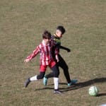 Nogomet U 14 : Zarja -Fiumicello