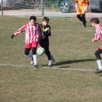 Nogomet U 14 : Zarja -Fiumicello
