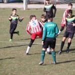 Nogomet U 14 : Zarja -Fiumicello