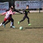 Nogomet U 14 : Zarja -Fiumicello