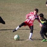 Nogomet U 14 : Zarja -Fiumicello