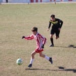 Nogomet U 14 : Zarja -Fiumicello
