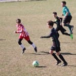 Nogomet U 14 : Zarja -Fiumicello