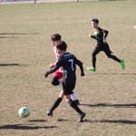 Nogomet U 14 : Zarja -Fiumicello