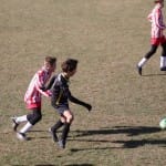 Nogomet U 14 : Zarja -Fiumicello