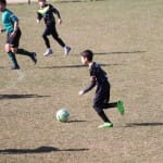 Nogomet U 14 : Zarja -Fiumicello