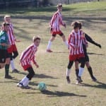 Nogomet U 14 : Zarja -Fiumicello