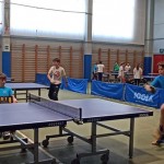 pokrajinska faza trzaskih nizjih sol