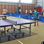 pokrajinska faza trzaskih nizjih sol